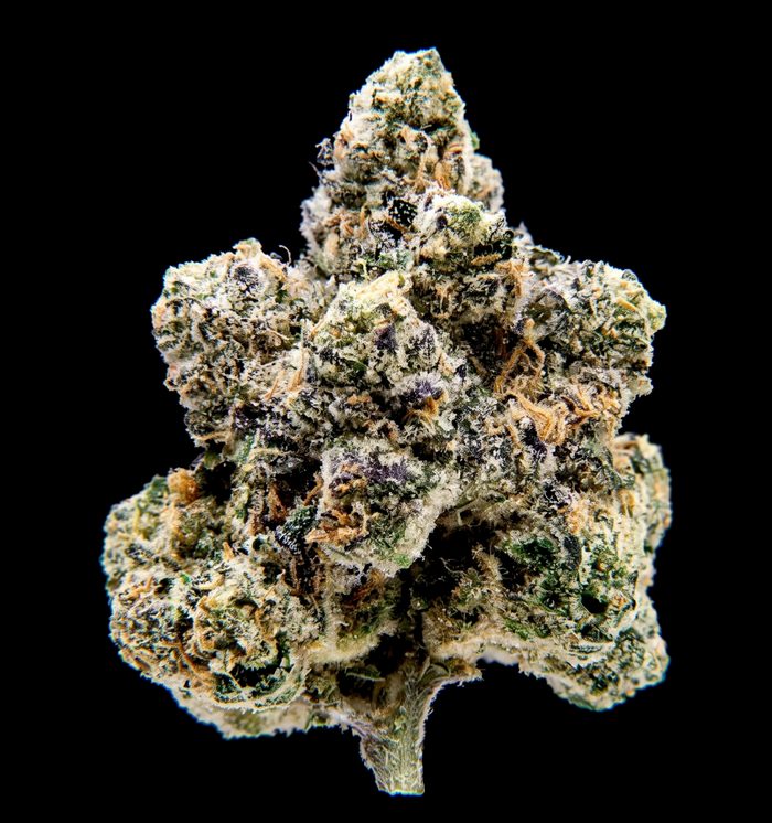 Macro photograph of a dried cannabis flower isolated on a black background, showing green bracts, orange pistils and a frosted surface.